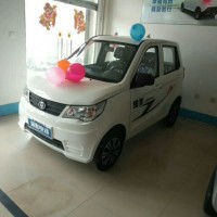 雞澤縣轉(zhuǎn)盤金彭新能源雙節(jié)大促銷，電動汽車9000元起
