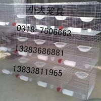 出售雞籠 鴿籠 兔籠 鳥(niǎo)籠 狗籠 鵪鶉籠 鷓鴣籠 運(yùn)輸籠