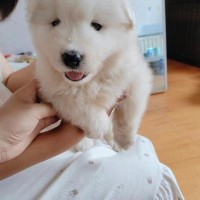 物品買賣?。。?/></a></div></td>
<td width=
